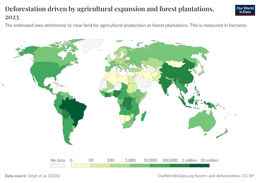 Deforestation driven by agricultural expansion and forest plantations