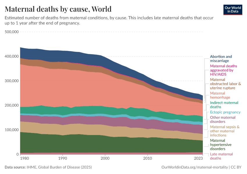 Maternal deaths by cause